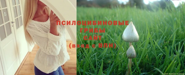 каннабис Абдулино