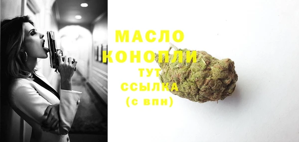тгк Абаза