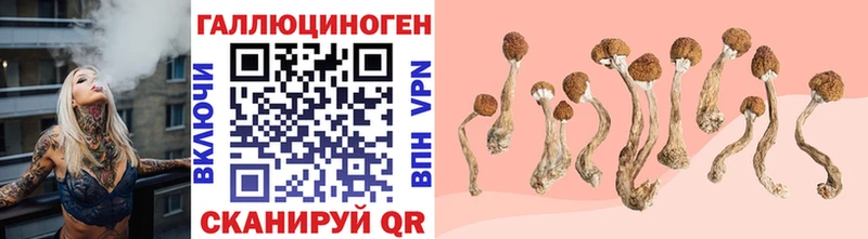 купить наркотики цена Нефтеюганск Галлюциногенные грибы GOLDEN TEACHER